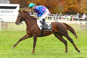 30416f0b38fecb23b3dd6176ca7b48b6