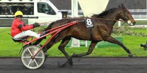 4355711_11-1-668656498_545x460_autocrop