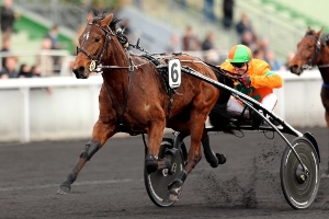 503ef812b6a99423fb838e3f07125bfa