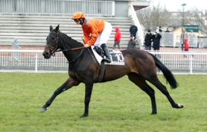 941309_PHW_sargasses_scoop_060248_029