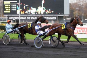 21/11/2009 VINCENNES PRIX PARIS TURF (PRIX DE BRETAGNE) - CI - G2 TROT ATTELE;TIERCE ECURIE SPORT;BAUDE Sebastien;COUEFFIN Roger ORLANDO SPORT | 21112009LOLO000128 042202_003