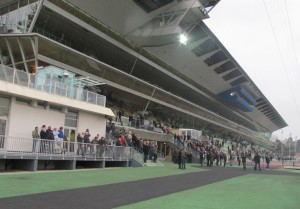 Hippodrome-de-Vincennes-7-novembre-2011-2