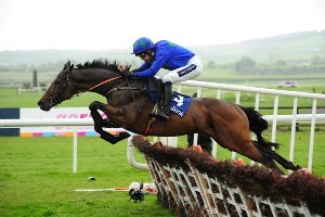 Hurricane-Fly-Punchstwn1