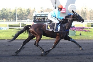 d24ffce15a2def89b75bffd62c66c574