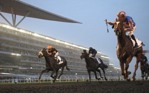 dubai_world_cup_racing_shot_sponsors