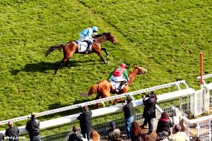 ?????????????????????????