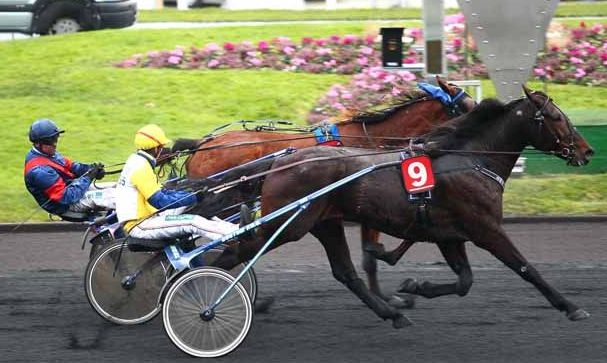 ???????????????????????????