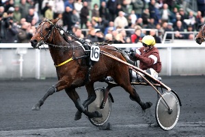 roi-du-lupin-prix-de-brest